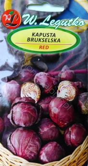 Kapusta brukselska Red