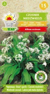 Czosnek niedźwiedzi (Allium ursinium)