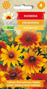 Rudbekia dwubarwna