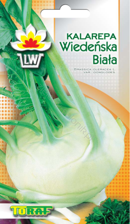 Kalarepa Wiedeńska Biała