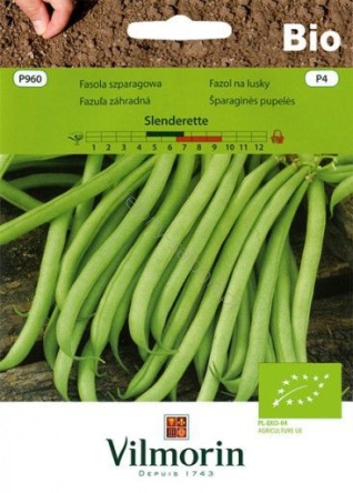 Fasola szparagowa zielona Slenderette BIO