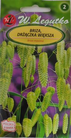 Briza, drżączka większa