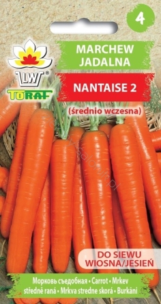 Marchew Nantese 2 - średnio wczesna