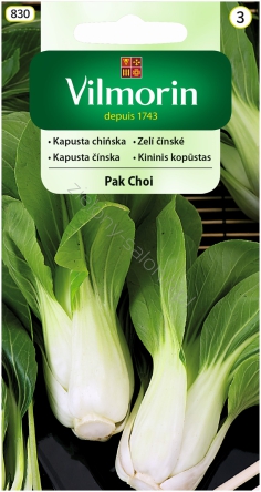 Kapusta chińska Pak Choi