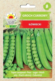 Groch cukrowy Iłówiecki