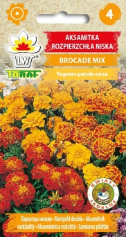 Aksamitka rozpierzchła Brocade Mix