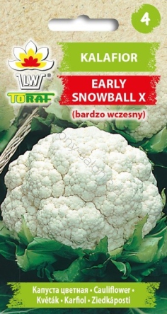 Kalafior Early Snowball X