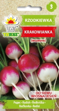 Rzodkiewka Krakowianka