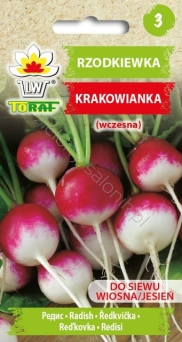 Rzodkiewka Krakowianka