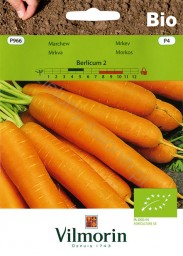 Marchew Berlicum 2 BIO późna