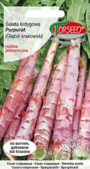 Sałata łodygowa Purpurat, Głąbik krakowski