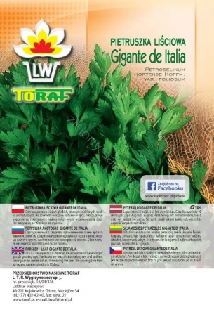 Pietruszka naciowa Gigante d'Italia 100 g