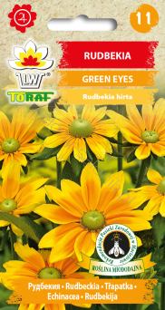 Rudbekia Green Eyes