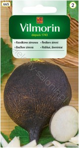 Rzodkiew zimowa Runder Schwarzer Winter (Murzynka)