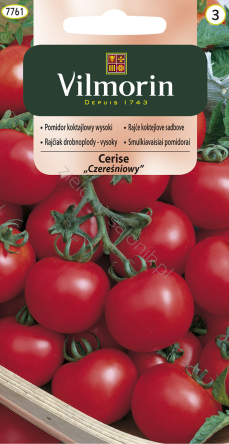 Pomidor koktajlowy wysoki Cerise (Czereśniowy)