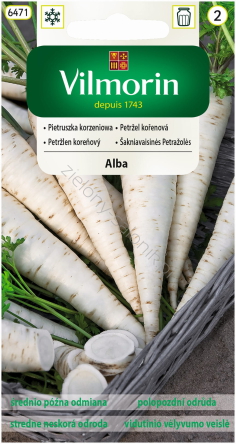 Pietruszka średnio późna Alba 