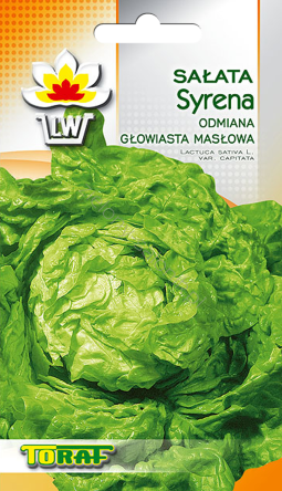 Sałata Syrena - masłowa wczesna 