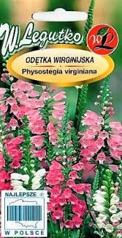 Odętka wirginijska - mieszanka