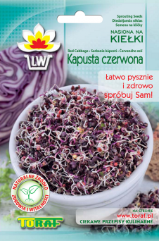 Kapusta czerwona na kiełki
