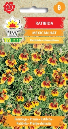 Ratibida Mexican Hat