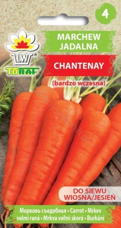 Marchew Chantenay - bardzo wczesna