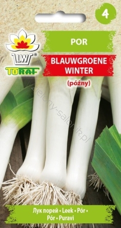 Por Blauwgroene Winter