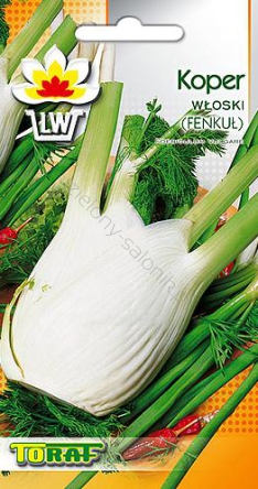 Koper włoski, fenkuł Fino